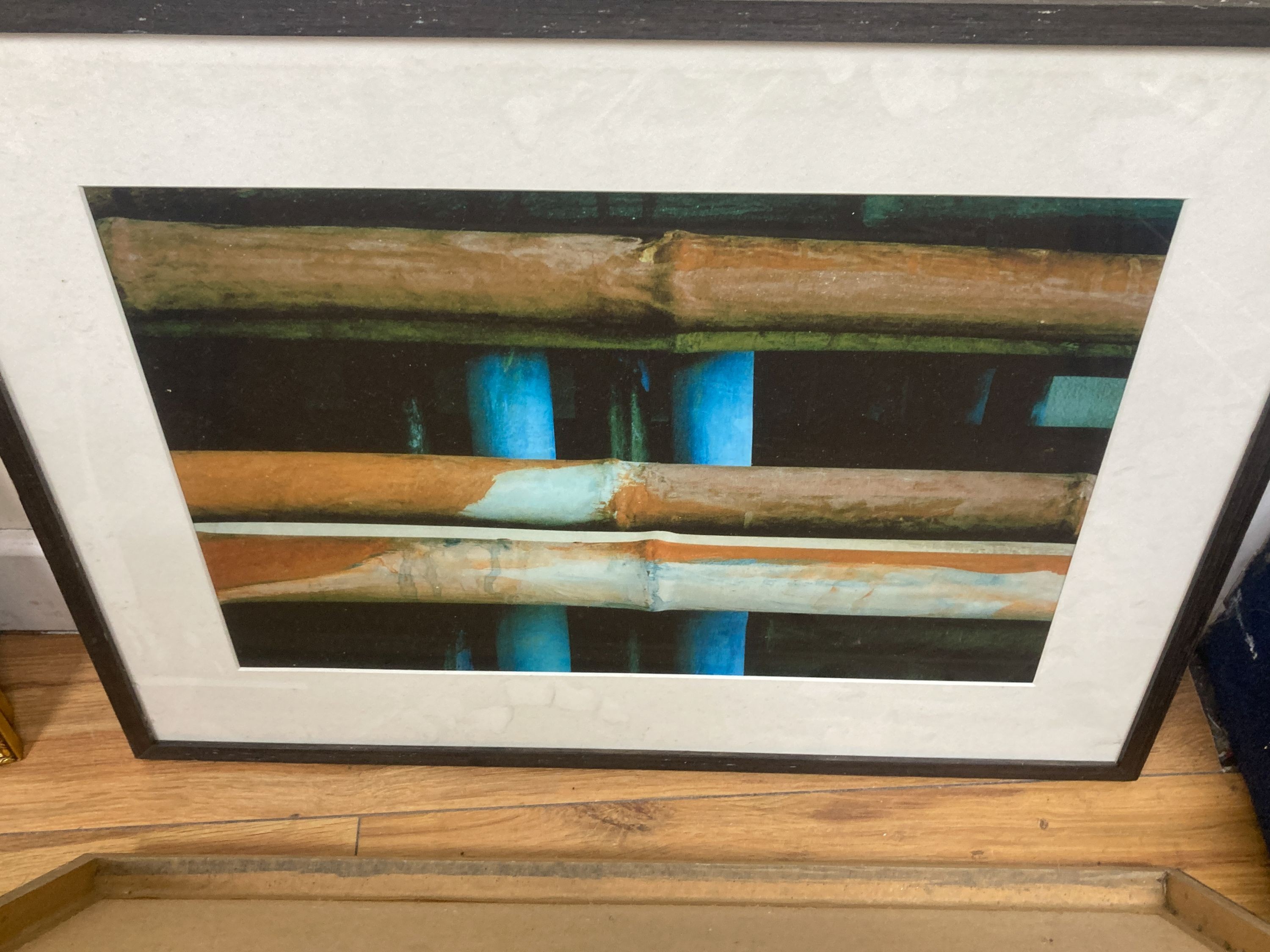 Barbara Nichols, five photographic studies of bamboo, 31 x 47cm.